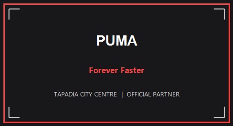 Partner 21